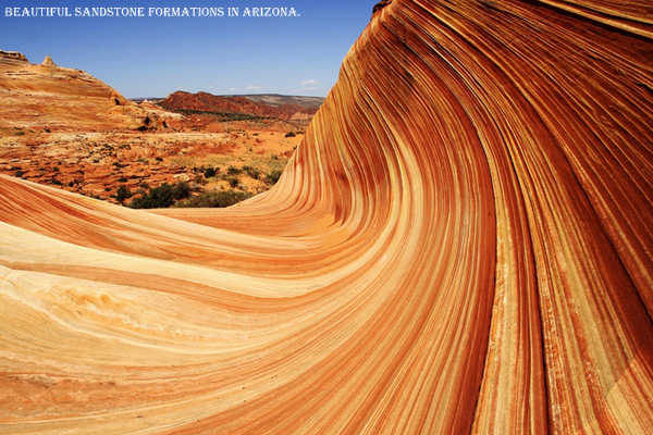 12 Craziest Things in Nature